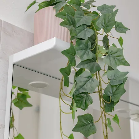 Holidays Affittacamere *